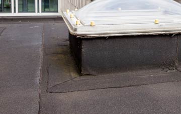 disadvantages of Ducks Island flat roofs