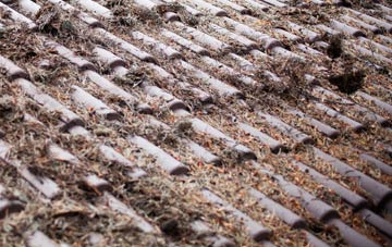 Ducks Island roof cleaning companies