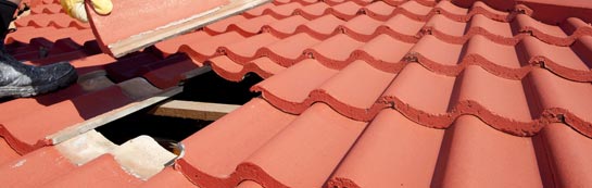 compare Ducks Island roof repair quotes