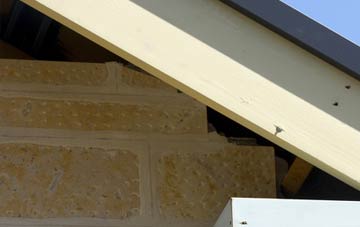 soffit repair Ducks Island