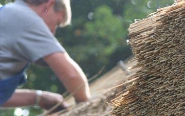 professional Ducks Island thatchers