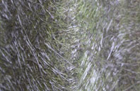 Ducks Island fibreglass roof work